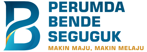 Perumda-Kabupaten OKI-Logo